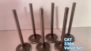 CAT 3306 Engine Valves 6N9916 6N9915 Set