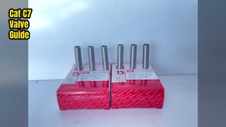 Chat C7. Guide de soupape 80 07