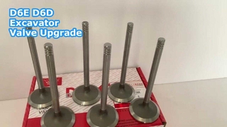 Excavator Engine Valve Upgrade D6E D6D