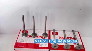 Pièces de soupape de moteur NT855 145701 135957